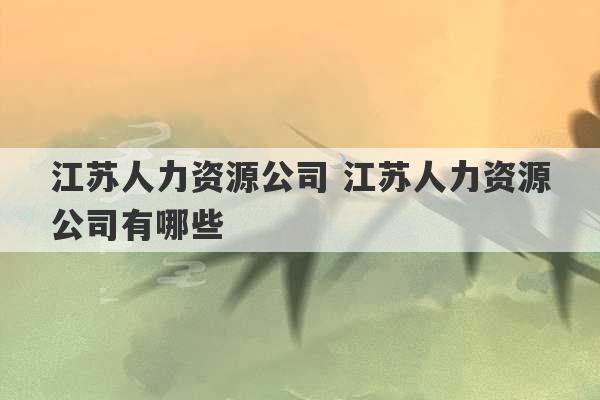 江苏人力资源公司 江苏人力资源公司有哪些