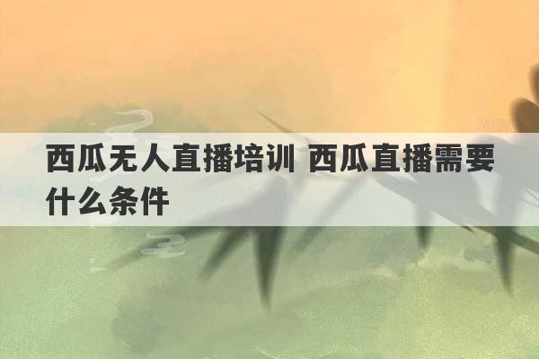 西瓜无人直播培训 西瓜直播需要什么条件