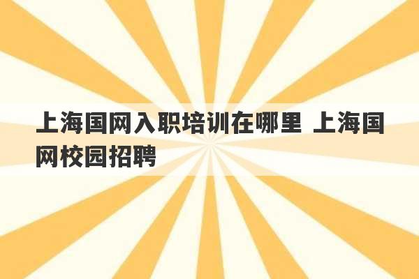 上海国网入职培训在哪里 上海国网校园招聘