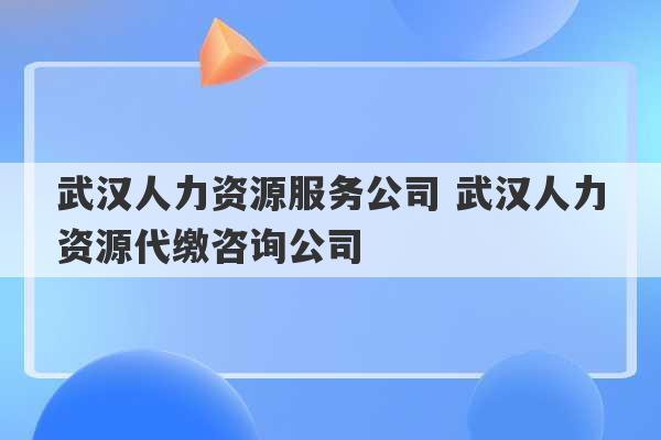 武汉人力资源服务公司 武汉人力资源代缴咨询公司