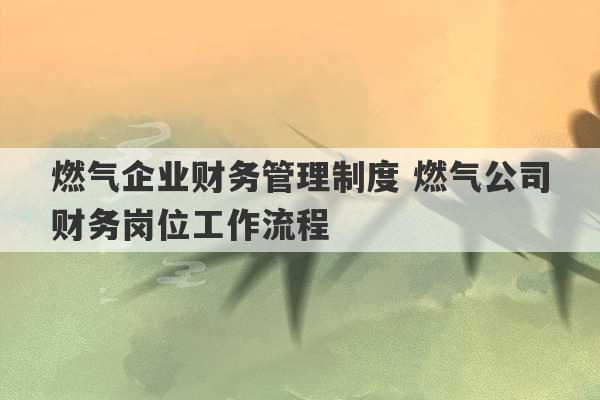 燃气企业财务管理制度 燃气公司财务岗位工作流程