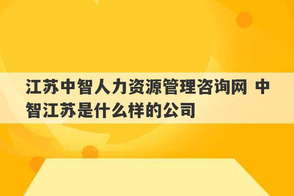 江苏中智人力资源管理咨询网 中智江苏是什么样的公司