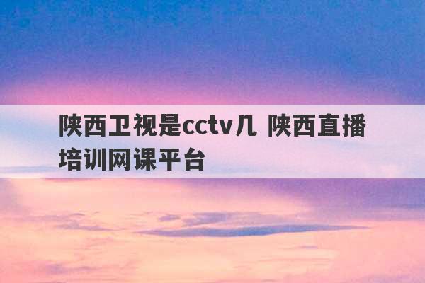 陕西卫视是cctv几 陕西直播培训网课平台