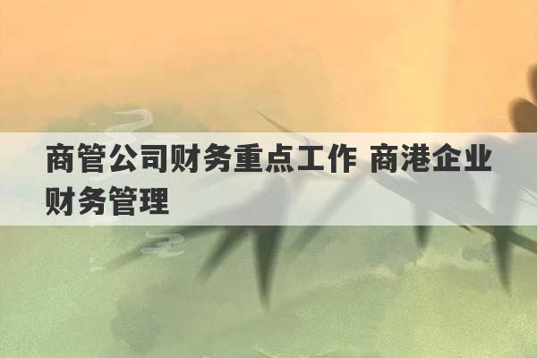 商管公司财务重点工作 商港企业财务管理