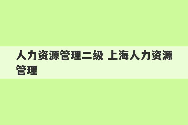 人力资源管理二级 上海人力资源管理