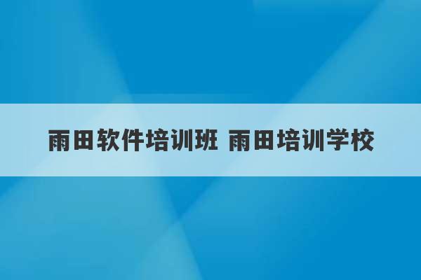 雨田软件培训班 雨田培训学校