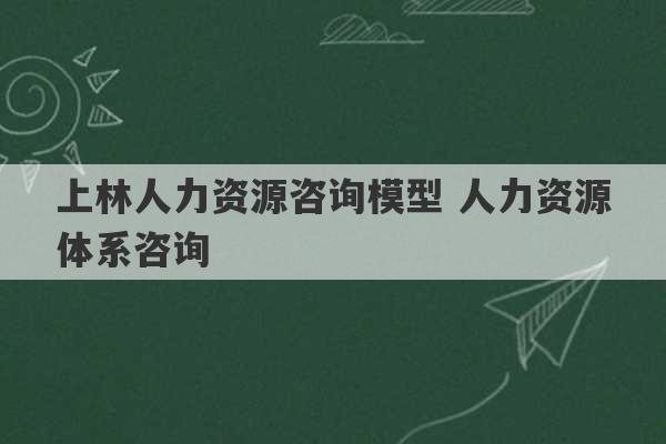 上林人力资源咨询模型 人力资源体系咨询