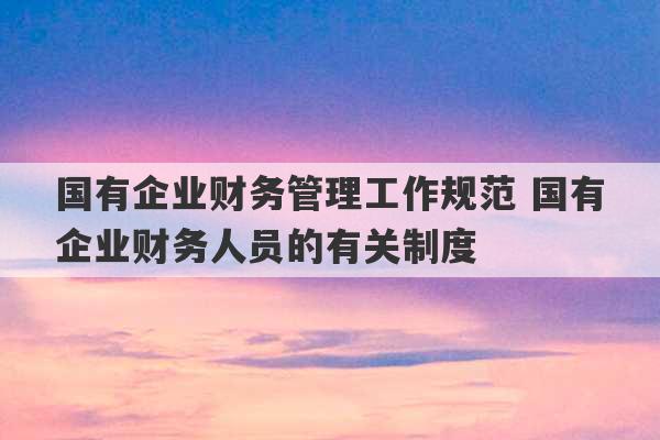 国有企业财务管理工作规范 国有企业财务人员的有关制度