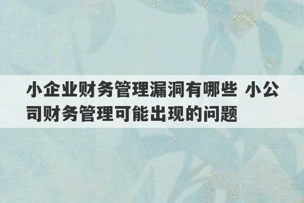 小企业财务管理漏洞有哪些 小公司财务管理可能出现的问题