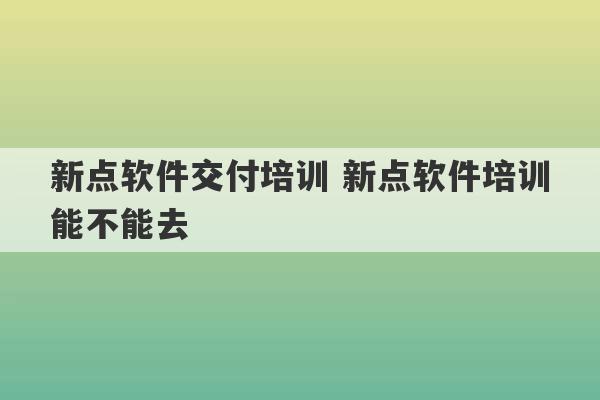 新点软件交付培训 新点软件培训能不能去