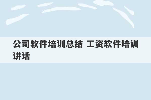 公司软件培训总结 工资软件培训讲话