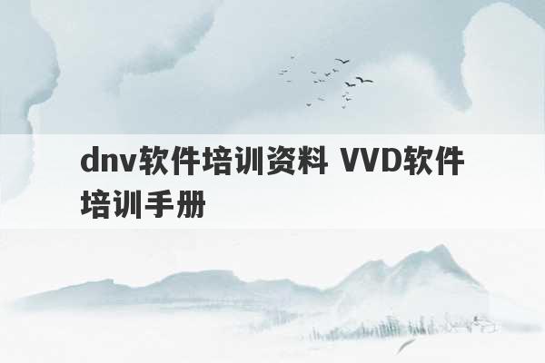 dnv软件培训资料 VVD软件培训手册