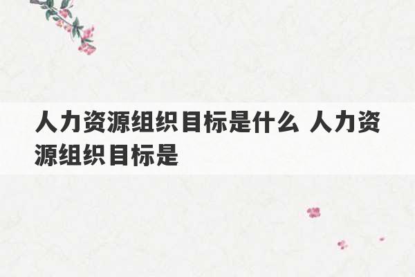 人力资源组织目标是什么 人力资源组织目标是