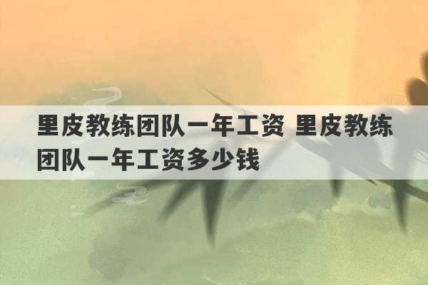 里皮教练团队一年工资 里皮教练团队一年工资多少钱