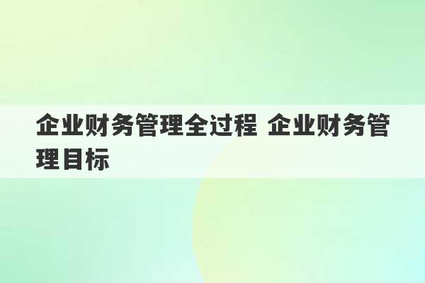 企业财务管理全过程 企业财务管理目标