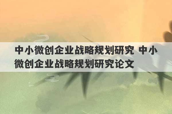 中小微创企业战略规划研究 中小微创企业战略规划研究论文