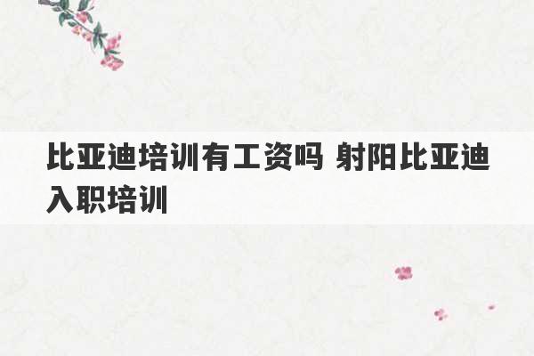 比亚迪培训有工资吗 射阳比亚迪入职培训