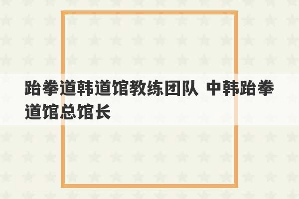 跆拳道韩道馆教练团队 中韩跆拳道馆总馆长