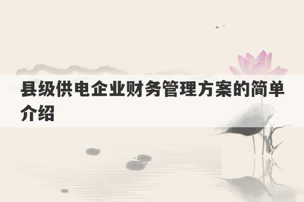 县级供电企业财务管理方案的简单介绍