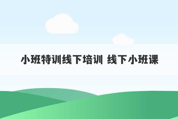 小班特训线下培训 线下小班课