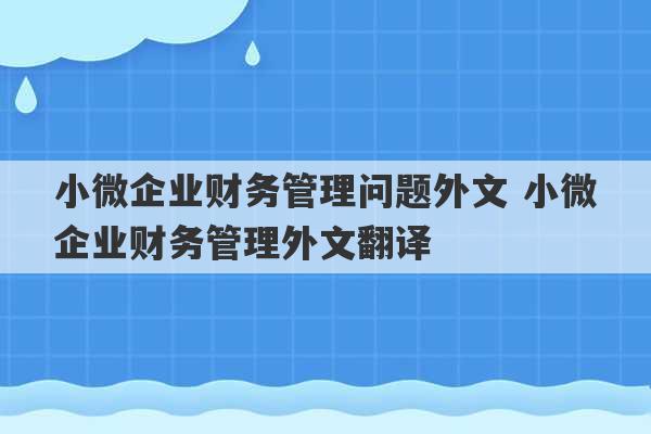 小微企业财务管理问题外文 小微企业财务管理外文翻译