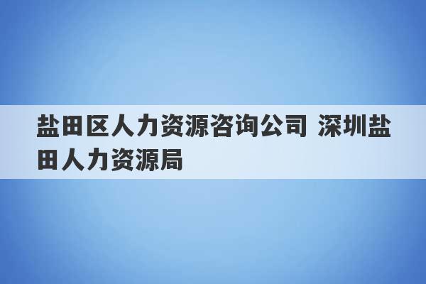 盐田区人力资源咨询公司 深圳盐田人力资源局