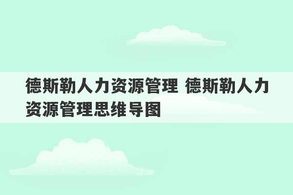 德斯勒人力资源管理 德斯勒人力资源管理思维导图