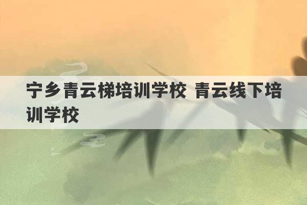 宁乡青云梯培训学校 青云线下培训学校