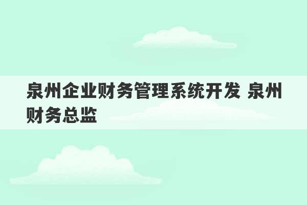 泉州企业财务管理系统开发 泉州财务总监