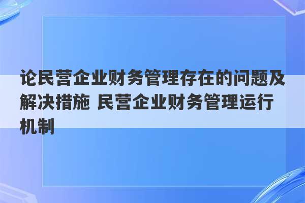 论民营企业财务管理存在的问题及解决措施 民营企业财务管理运行机制