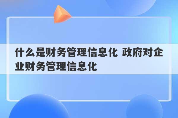 什么是财务管理信息化 政府对企业财务管理信息化