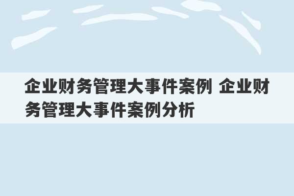 企业财务管理大事件案例 企业财务管理大事件案例分析