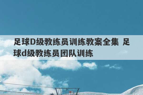 足球D级教练员训练教案全集 足球d级教练员团队训练