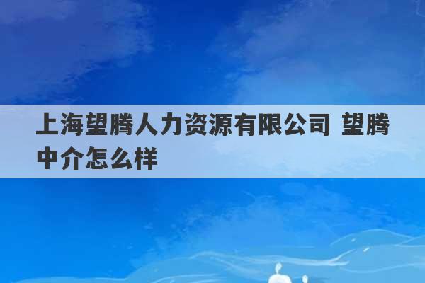 上海望腾人力资源有限公司 望腾中介怎么样