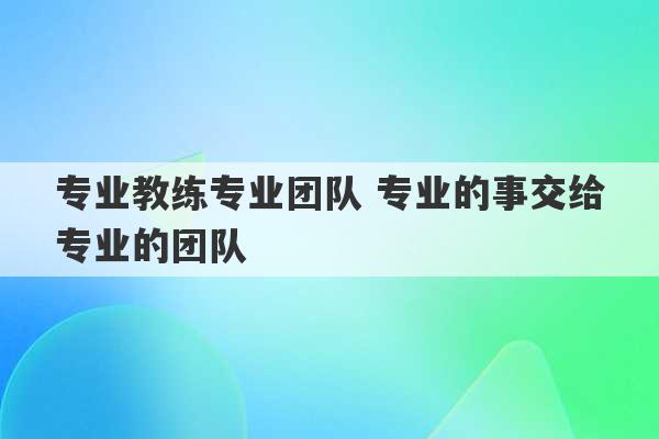 专业教练专业团队 专业的事交给专业的团队