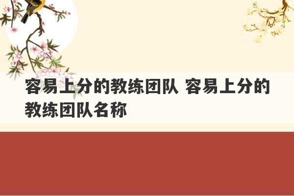 容易上分的教练团队 容易上分的教练团队名称