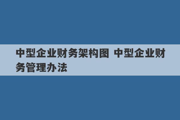 中型企业财务架构图 中型企业财务管理办法