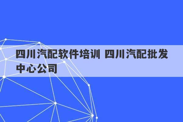 四川汽配软件培训 四川汽配批发中心公司