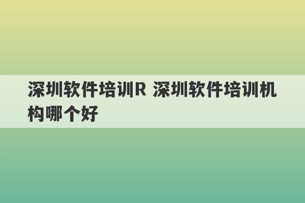 深圳软件培训R 深圳软件培训机构哪个好