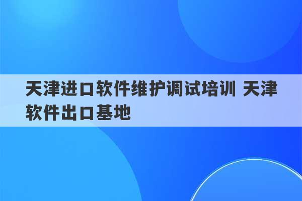 天津进口软件维护调试培训 天津软件出口基地