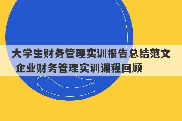 大学生财务管理实训报告总结范文 企业财务管理实训课程回顾