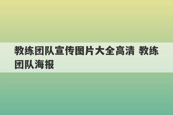 教练团队宣传图片大全高清 教练团队海报