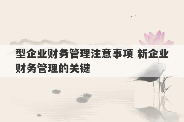 型企业财务管理注意事项 新企业财务管理的关键