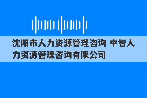 沈阳市人力资源管理咨询 中智人力资源管理咨询有限公司