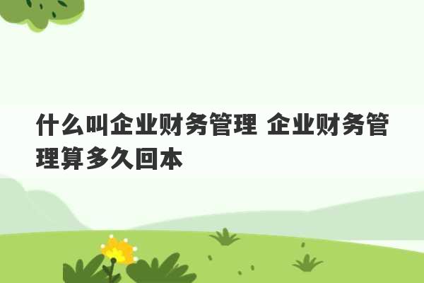 什么叫企业财务管理 企业财务管理算多久回本