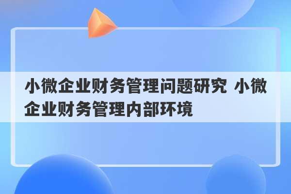 小微企业财务管理问题研究 小微企业财务管理内部环境