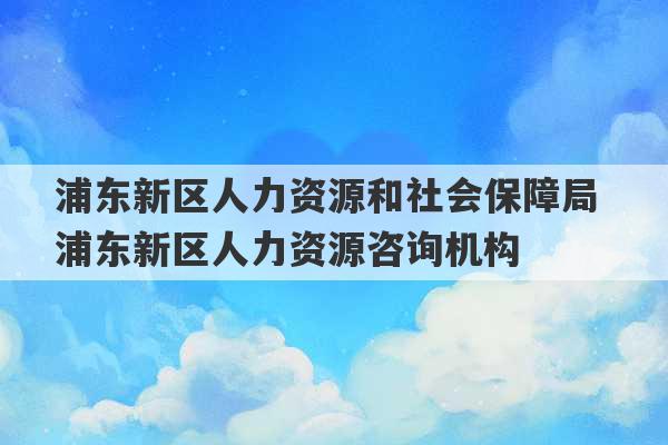 浦东新区人力资源和社会保障局 浦东新区人力资源咨询机构