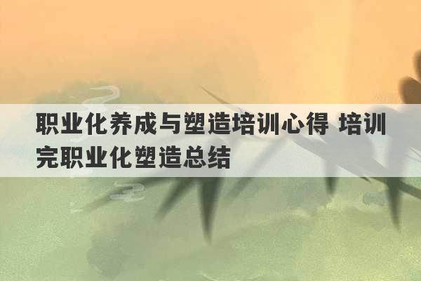 职业化养成与塑造培训心得 培训完职业化塑造总结