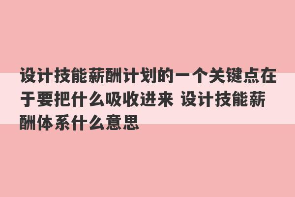 设计技能薪酬计划的一个关键点在于要把什么吸收进来 设计技能薪酬体系什么意思