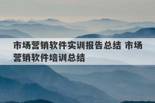 市场营销软件实训报告总结 市场营销软件培训总结